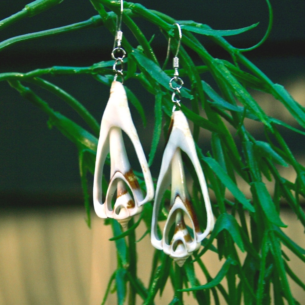 Vtg Seashell Slices Mermaid Earrings
